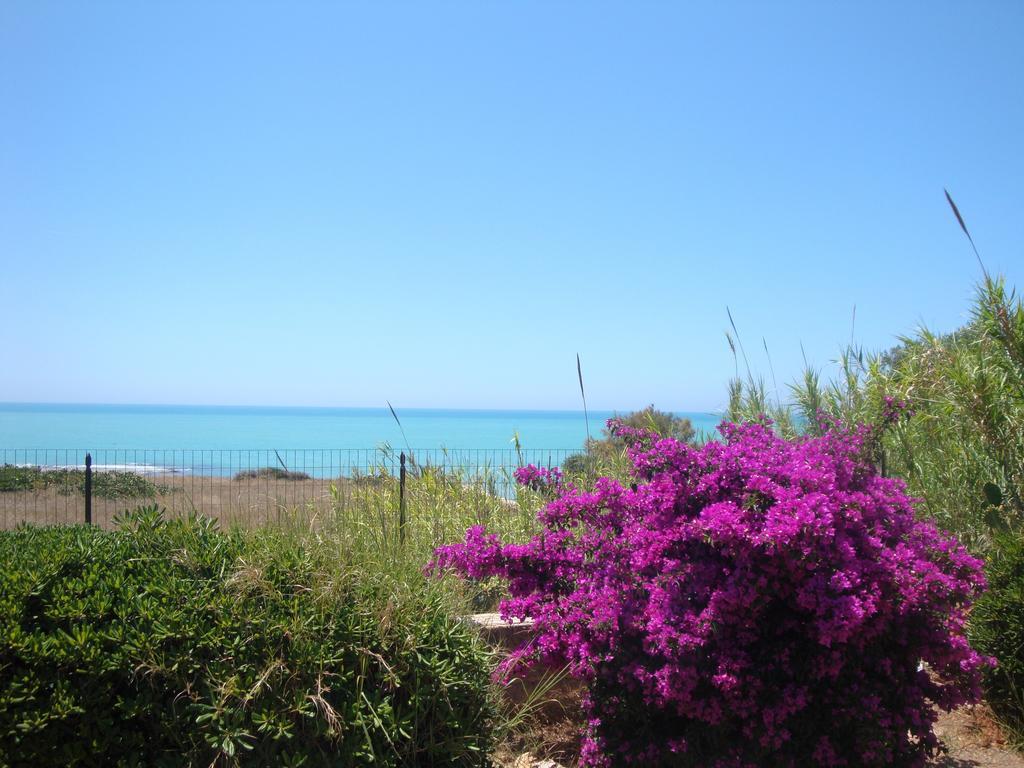 Vila Cala Vigliena Il Sole Negli Occhi Punta Braccetto Pokoj fotografie