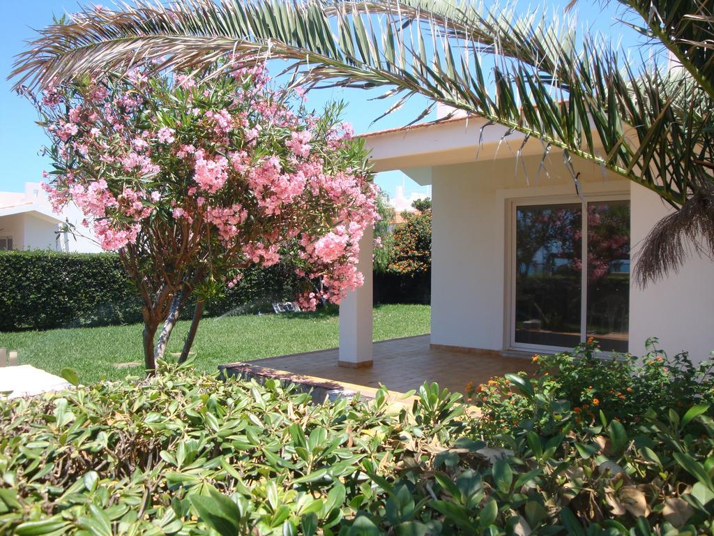 Vila Cala Vigliena Il Sole Negli Occhi Punta Braccetto Pokoj fotografie
