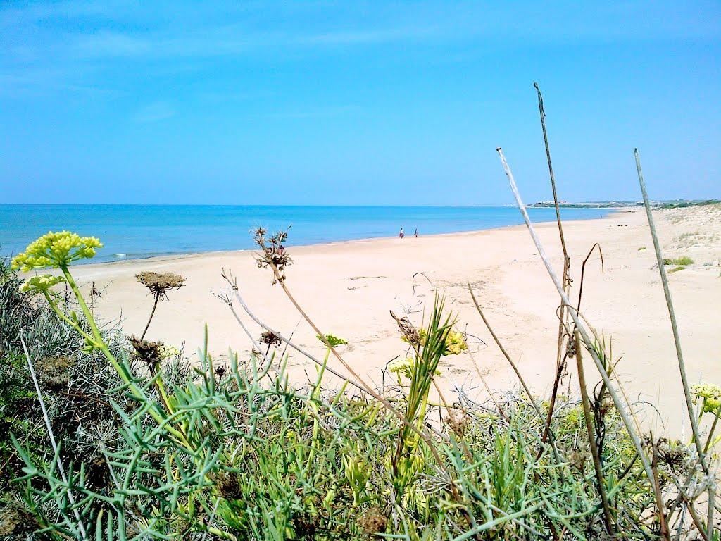 Vila Cala Vigliena Il Sole Negli Occhi Punta Braccetto Exteriér fotografie